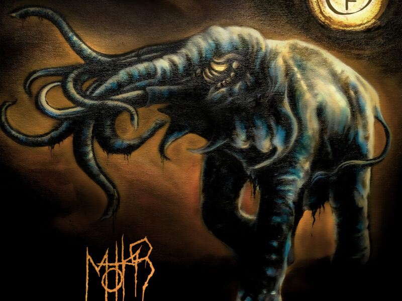 MOTHS - Wrath Single Cover